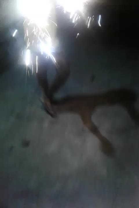 @Nivaj borah