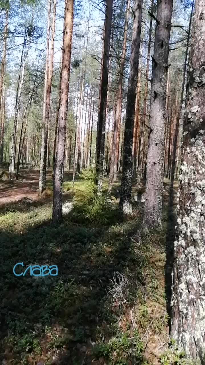 @Mira Tiirikainen