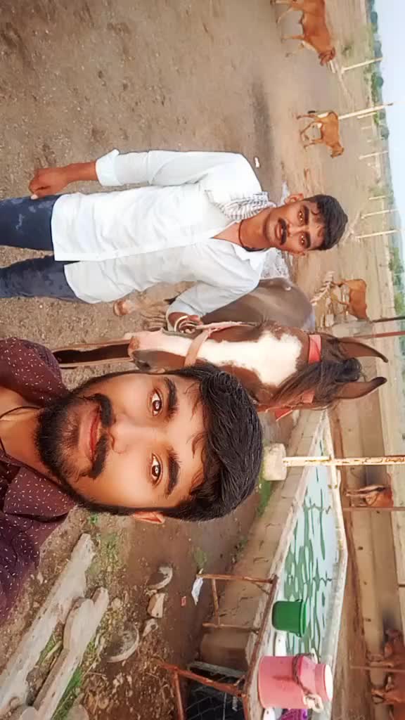 @Mojilo.MalDhari