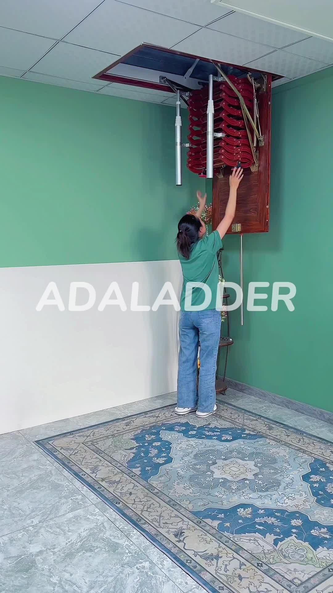 @Renee_attic ladder