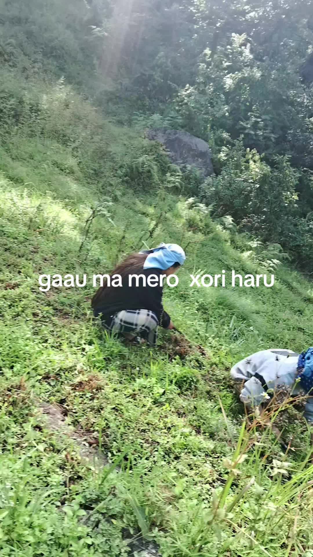 @Sonu Lama