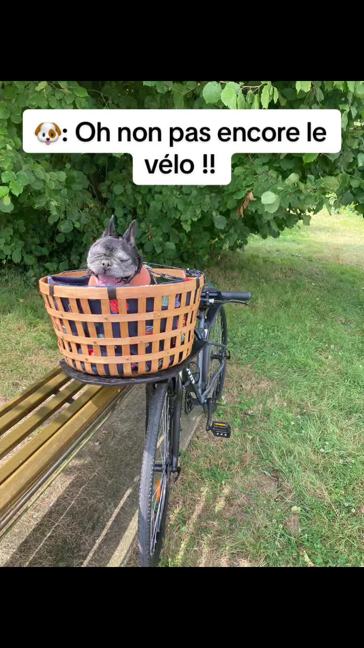 @Lylium