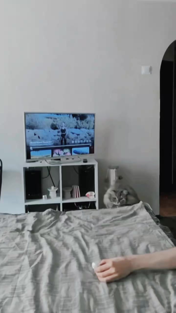 @dailycats03