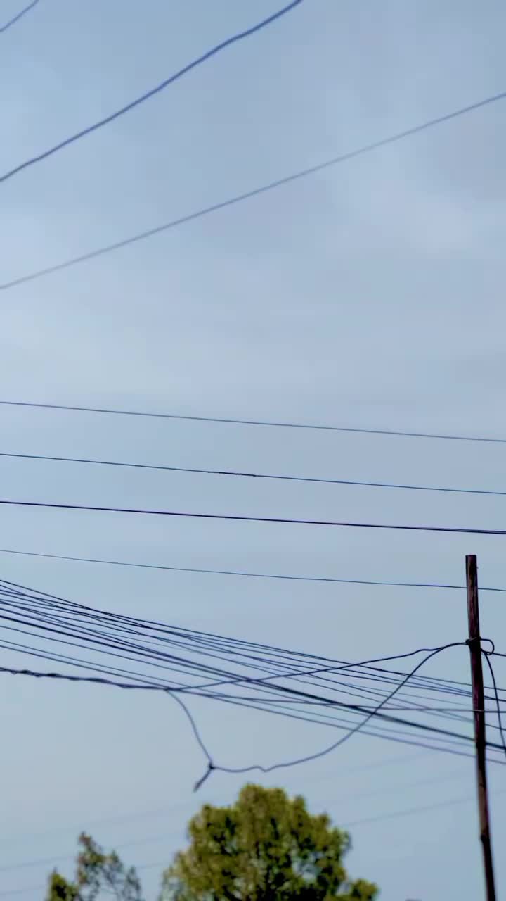 @00:00💚🌼🤍