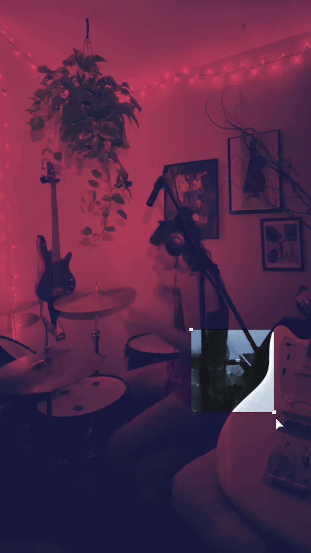 @🪲🕸️🪲🕸️🪲🕸️