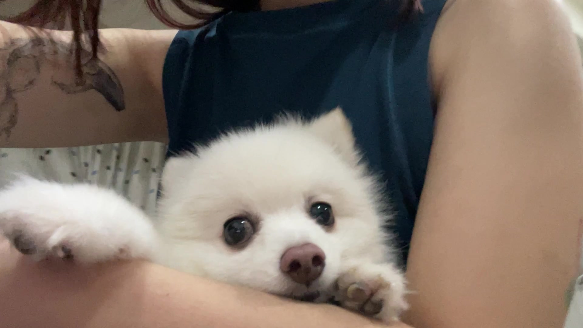 @violet.hsu_0930
