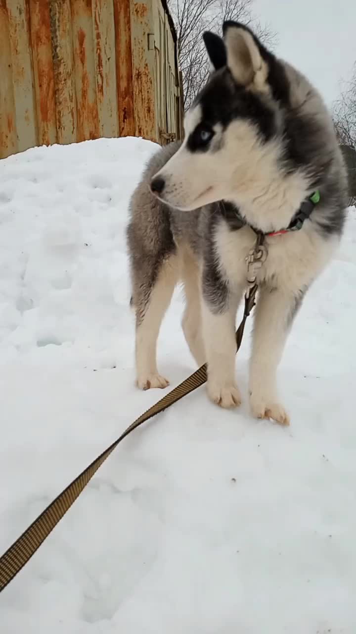 @просто Майа 💗