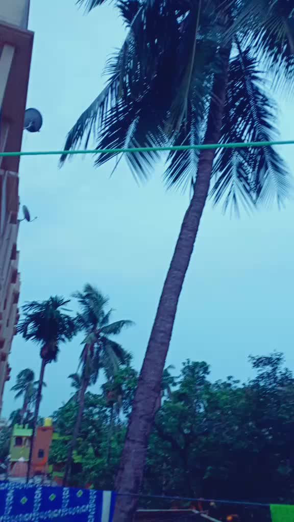 @jasminerain5