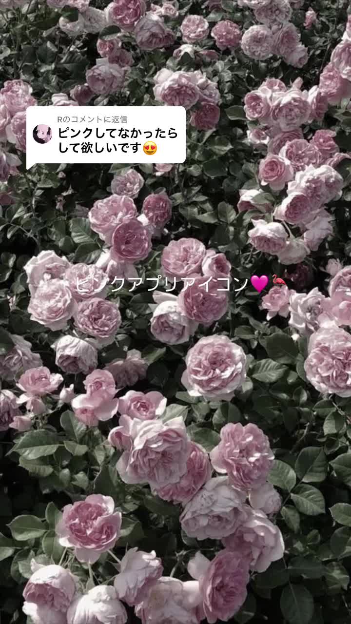 @Fu