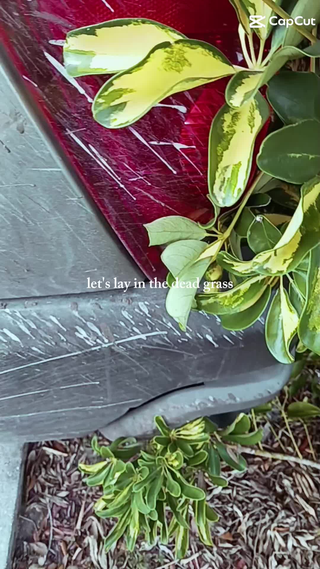 @xj_wyatt