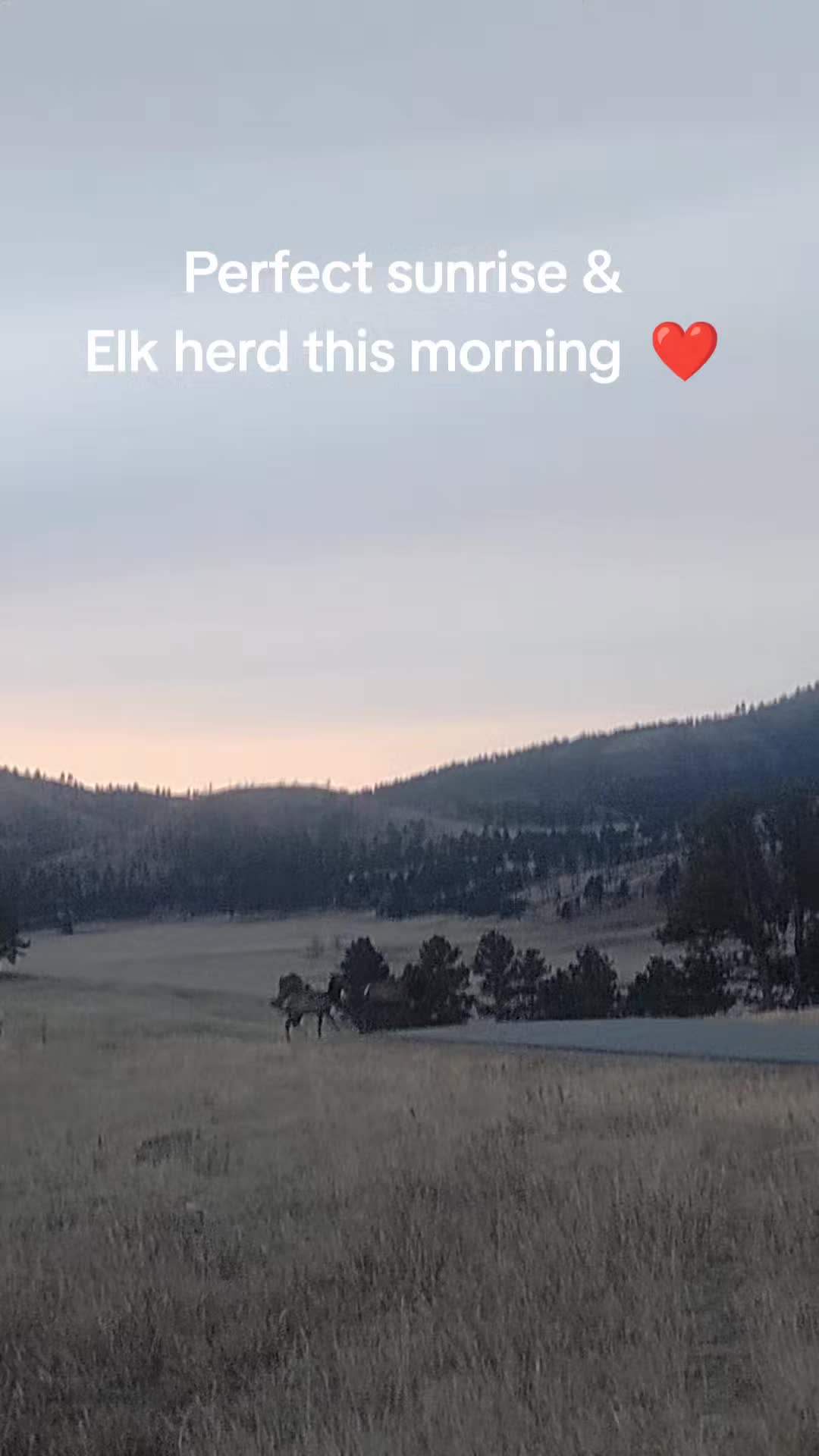 @Hills_Huntress83