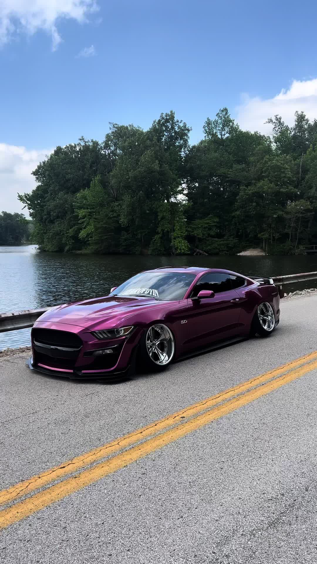 @FEAROFDYIN