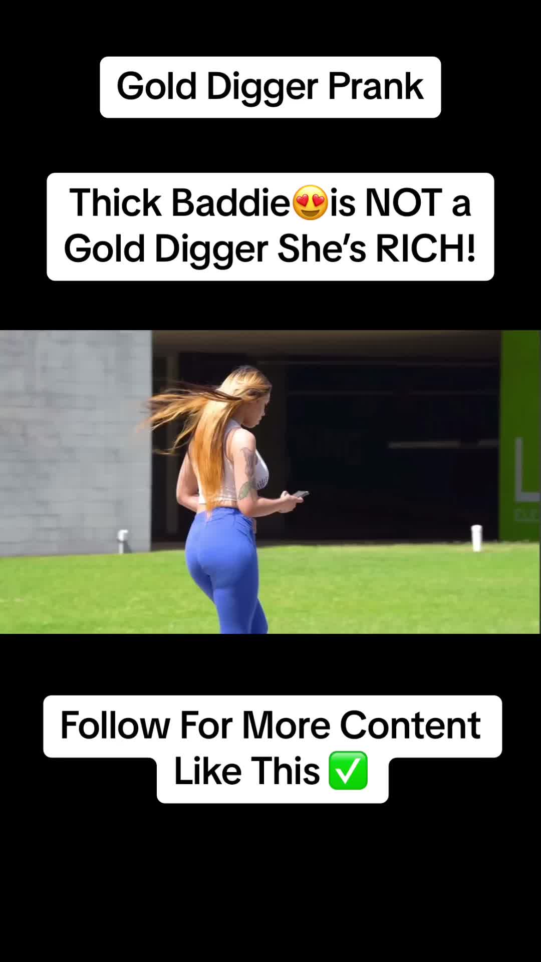 @Gold Diggers In 4k