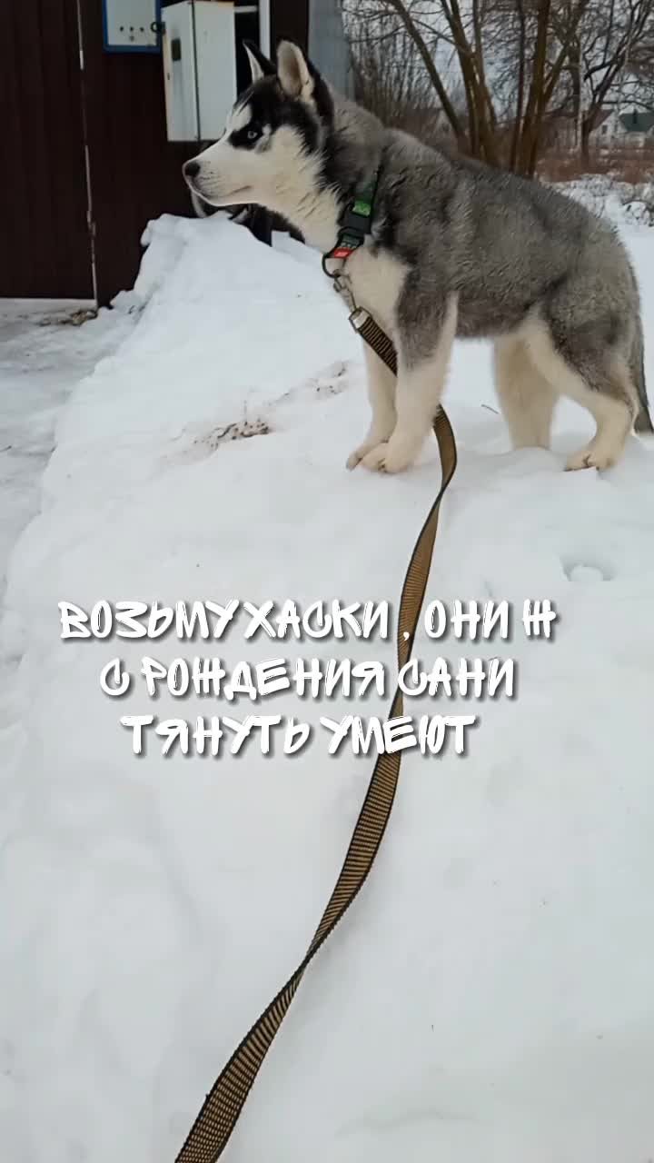 @просто Майа 💗
