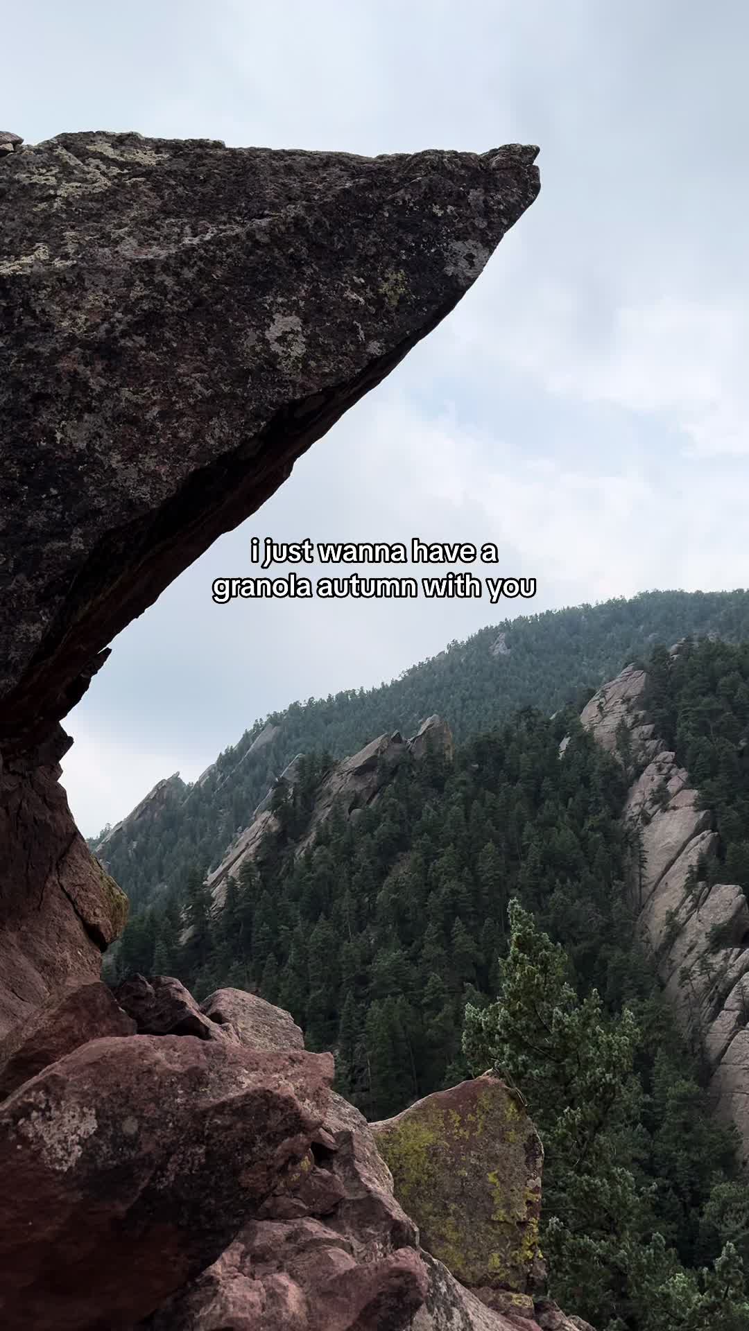 @mtjoysastrovan