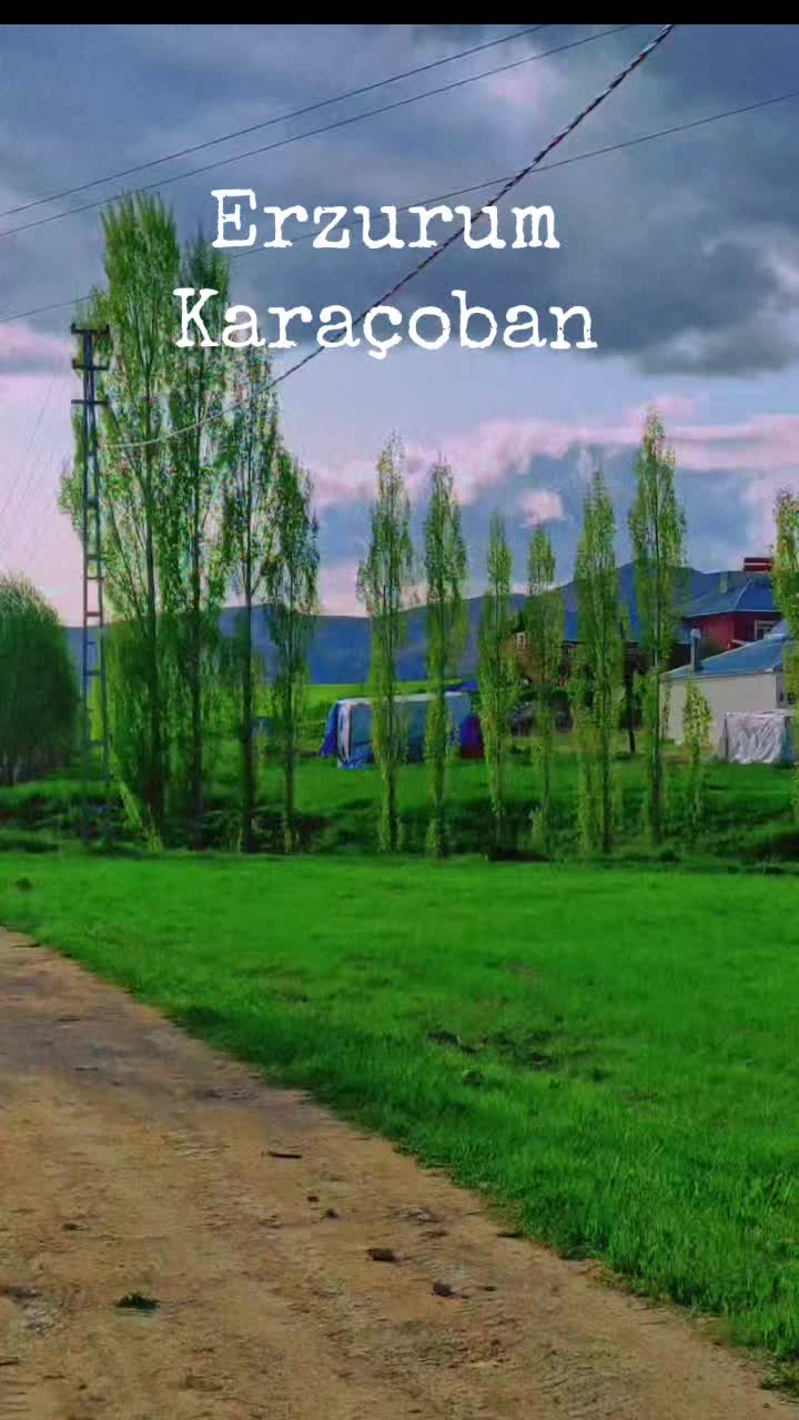 @Çetin ışık