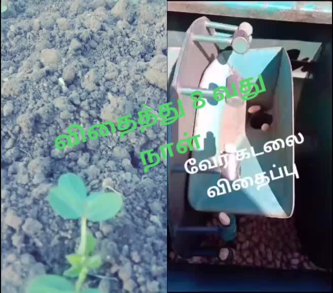 @பூபதிவிவசாயி D.EEE