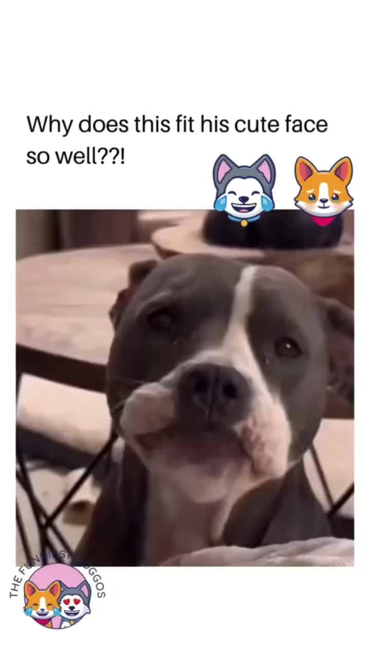 @killa