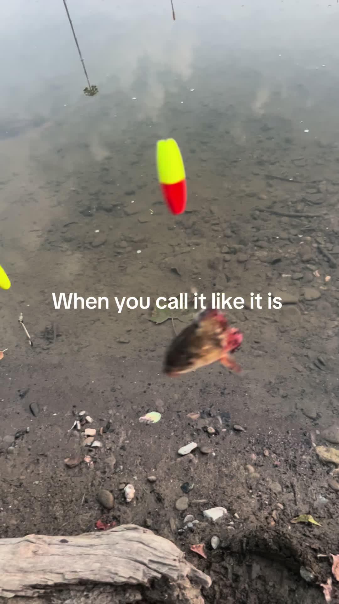 @Catfishhunter92