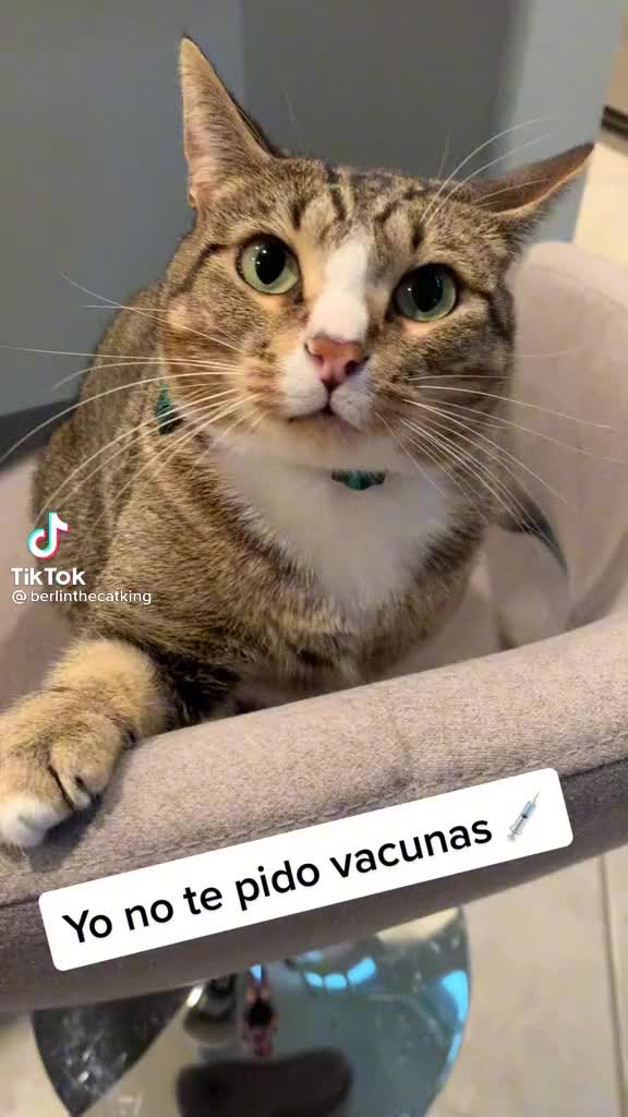 @isabel19gvaldez