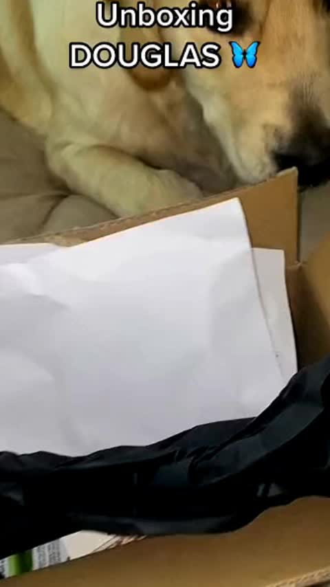@CÔNG NGHỆ MỚI