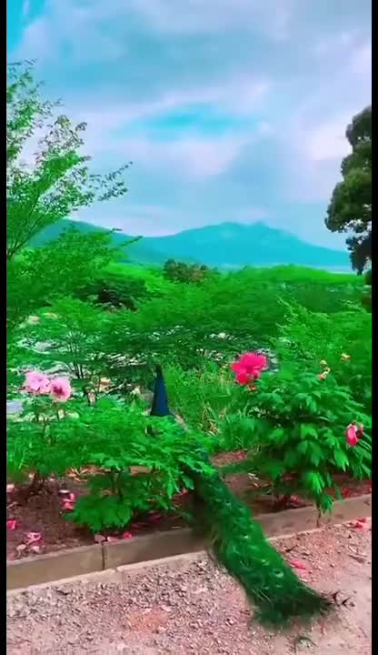 @user7329857217009