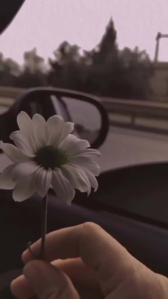 @هديل سلامة