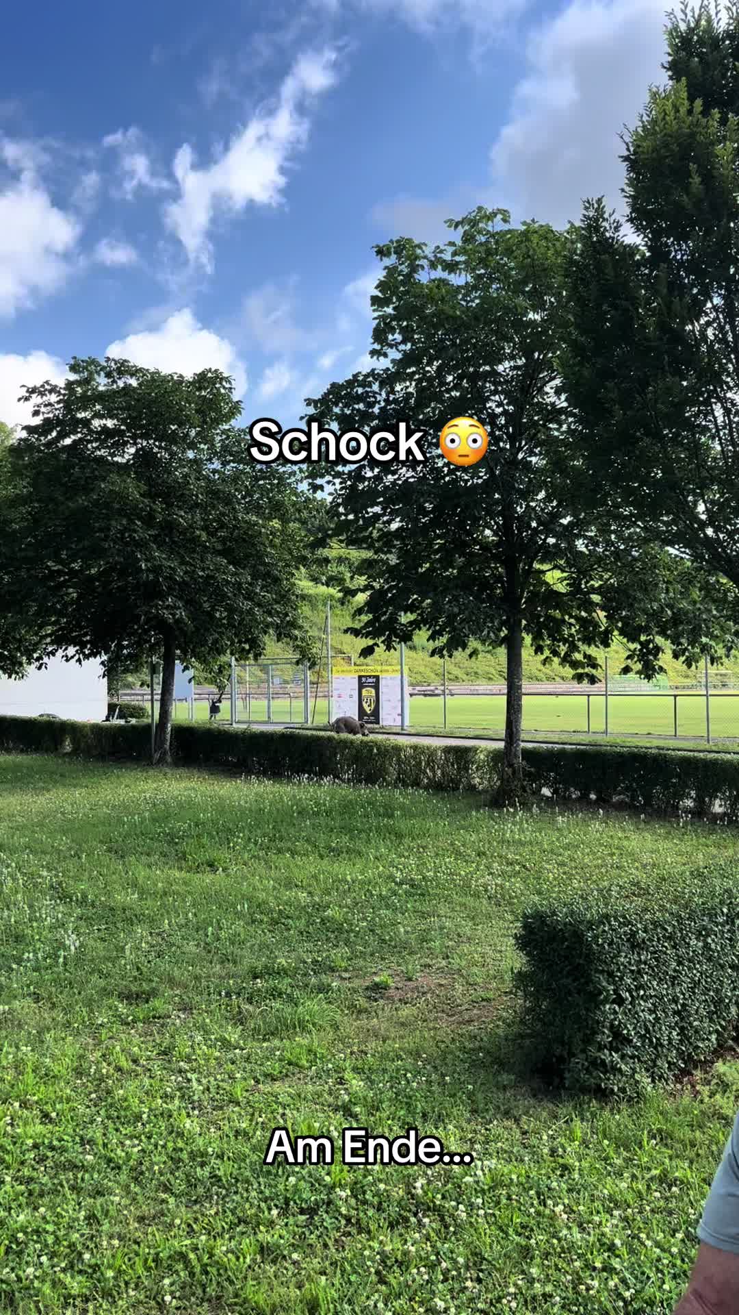 @edelsky_