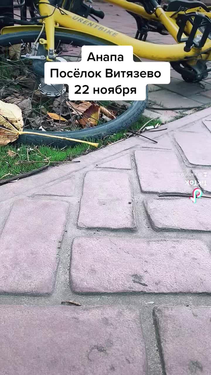@viktor.93rus