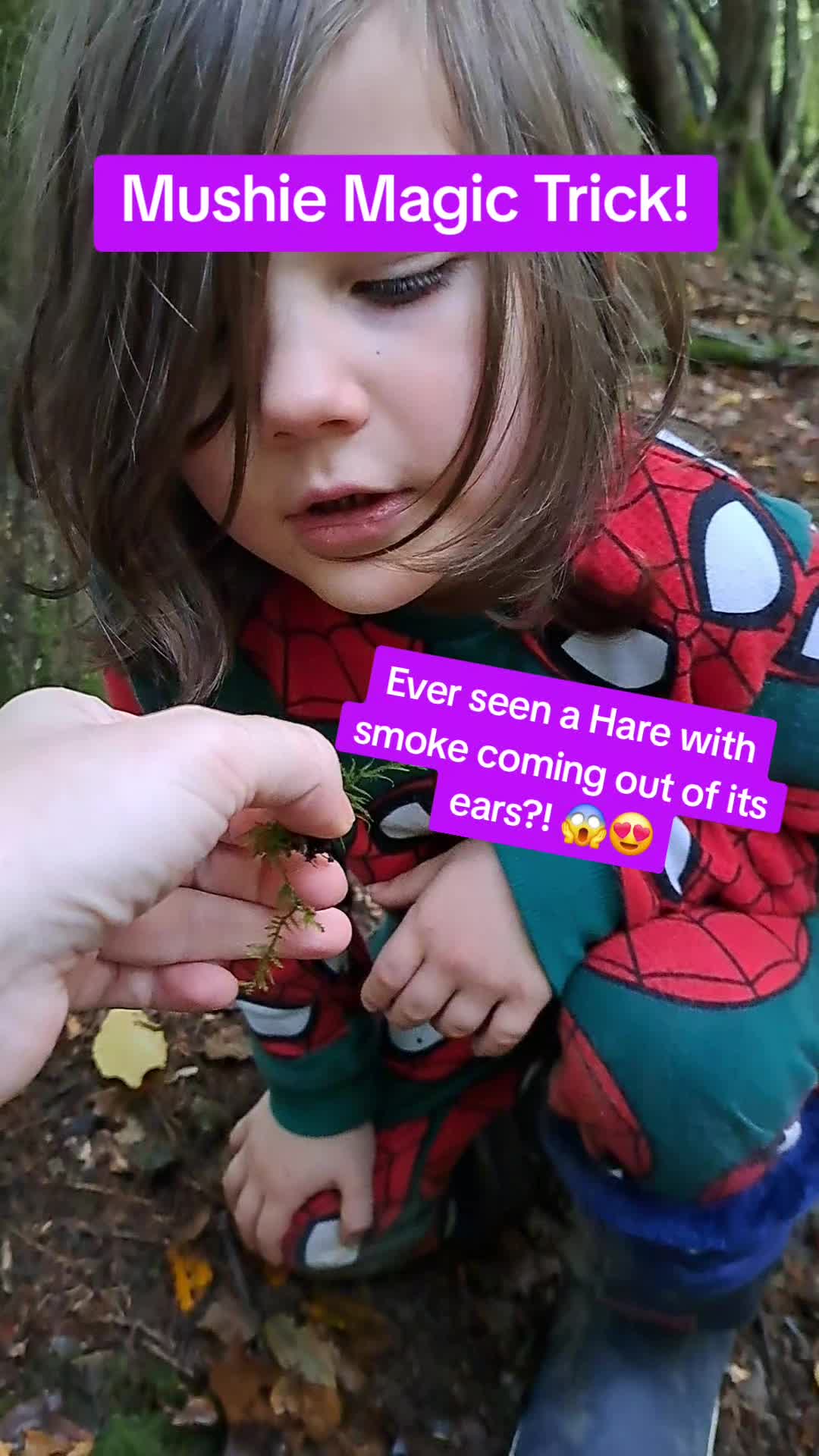 @Wild_About_the_Woods