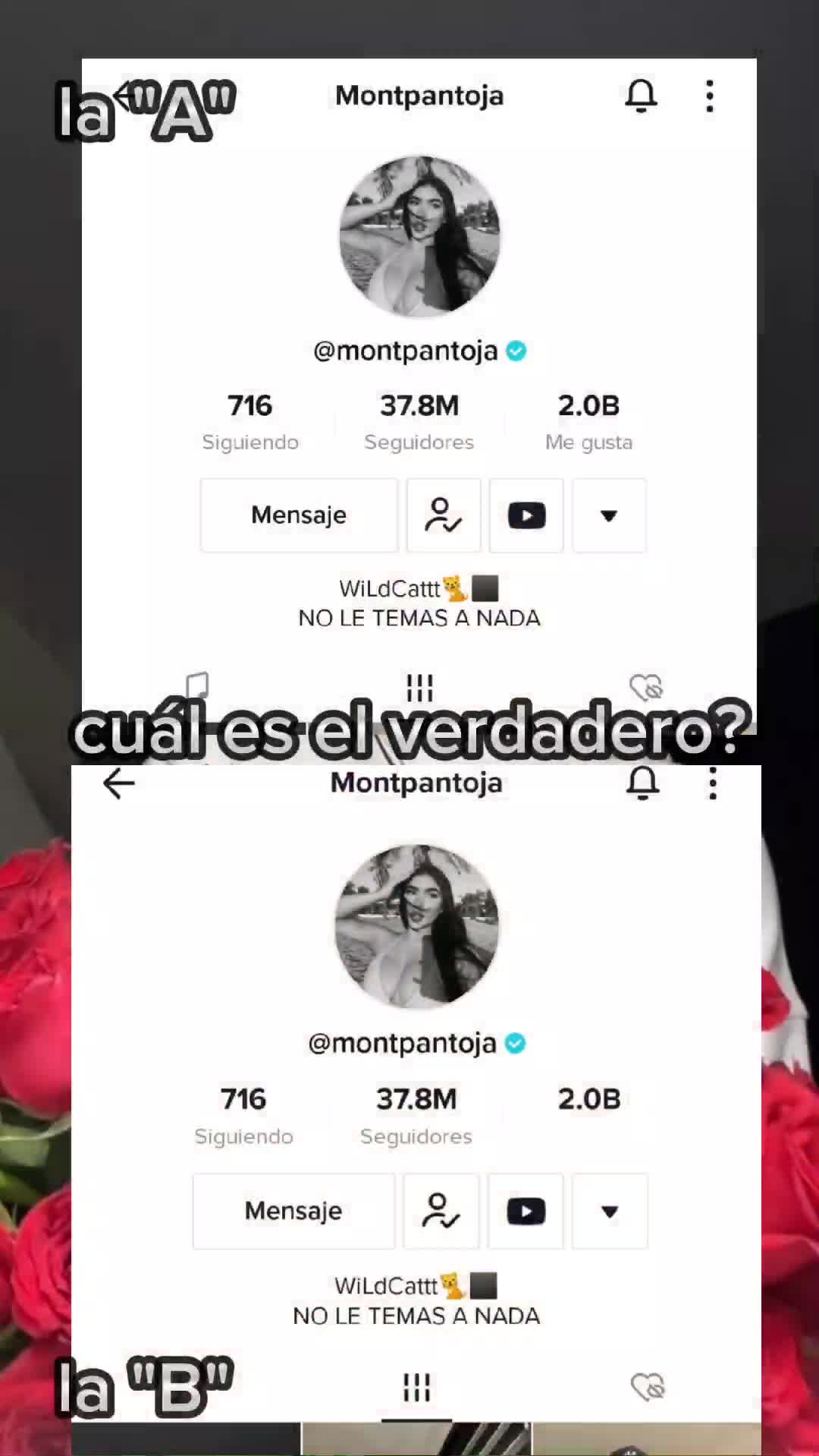 @Alex🦦🤑