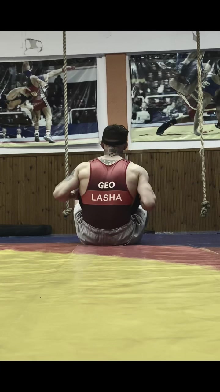 @lasha Shengelia