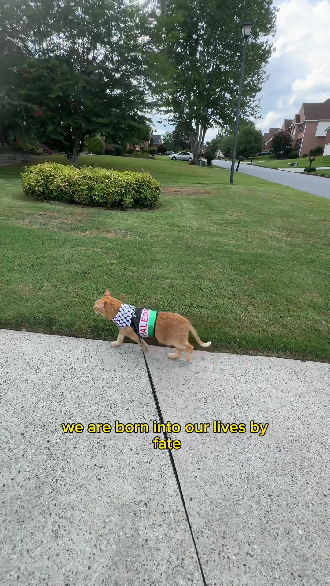 @Nanoos & Reem