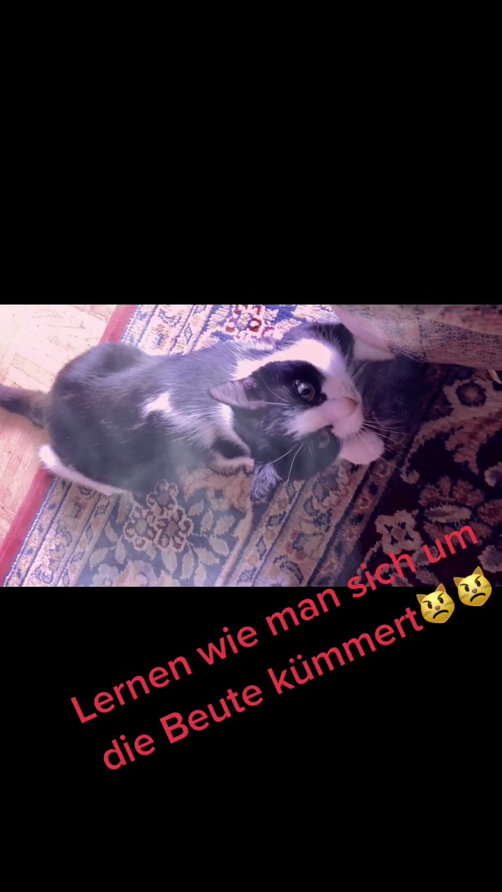 @Bijumon