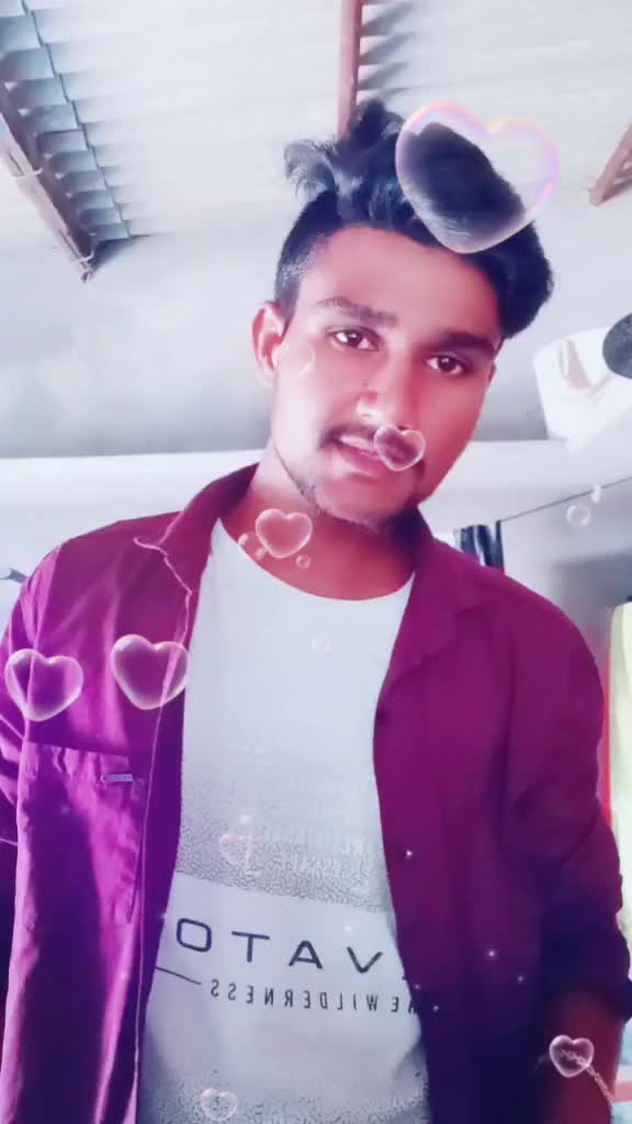 @bunny