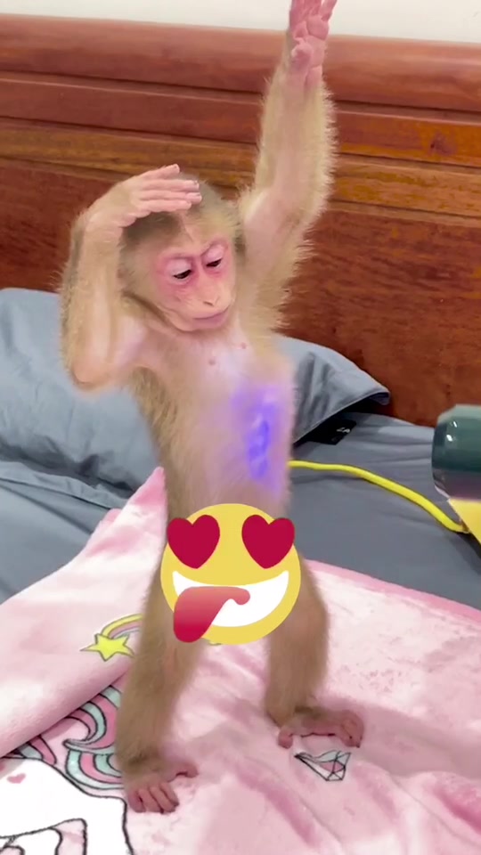 @Lilymonkey