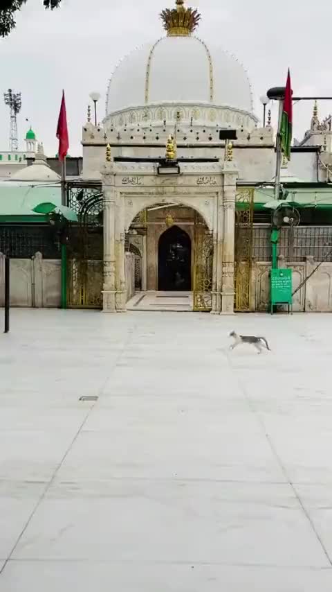 @Arab sab