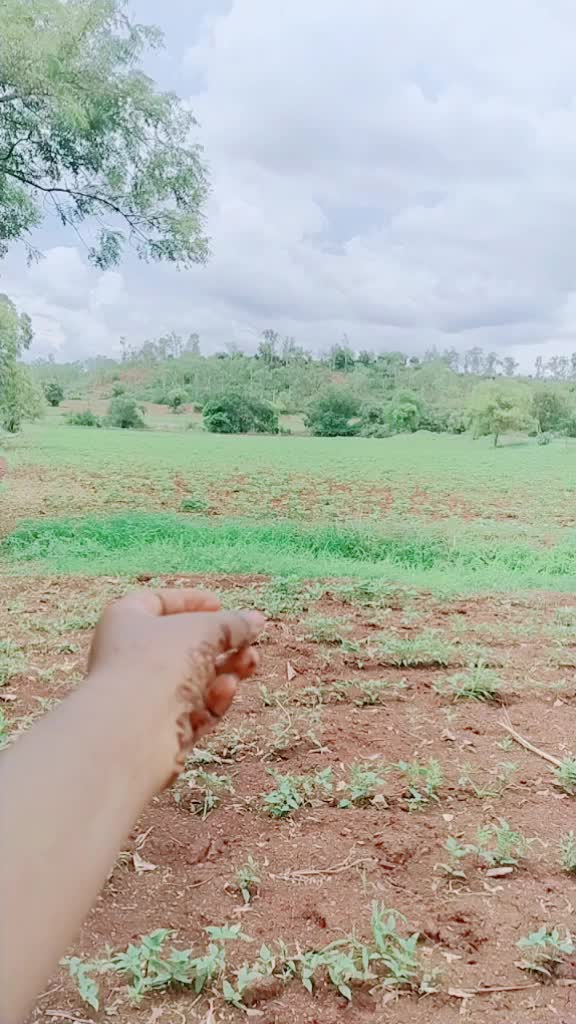 @bhagya