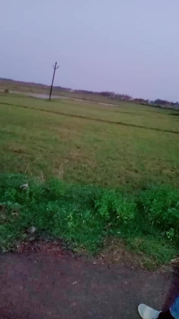 @srikanta143