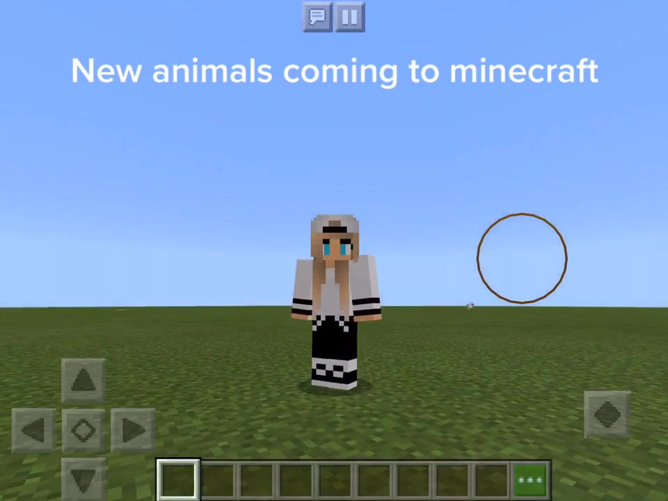 @💖Minecraft💖