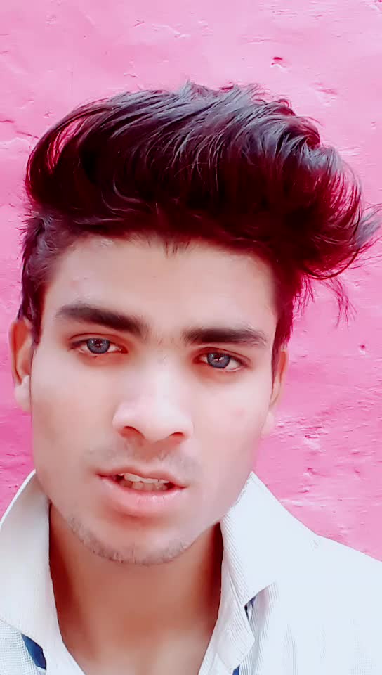 @araya_zam