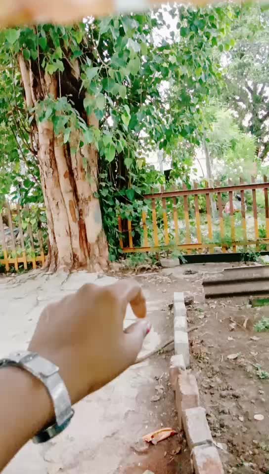 @Selvi Balan Dravid