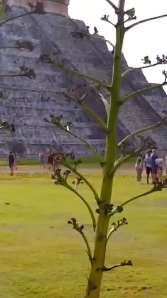 @Rafaelq58