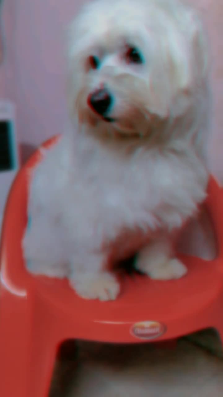 @.ï.∆.Ñ.∆.D.∆.Ï.∆.Å.