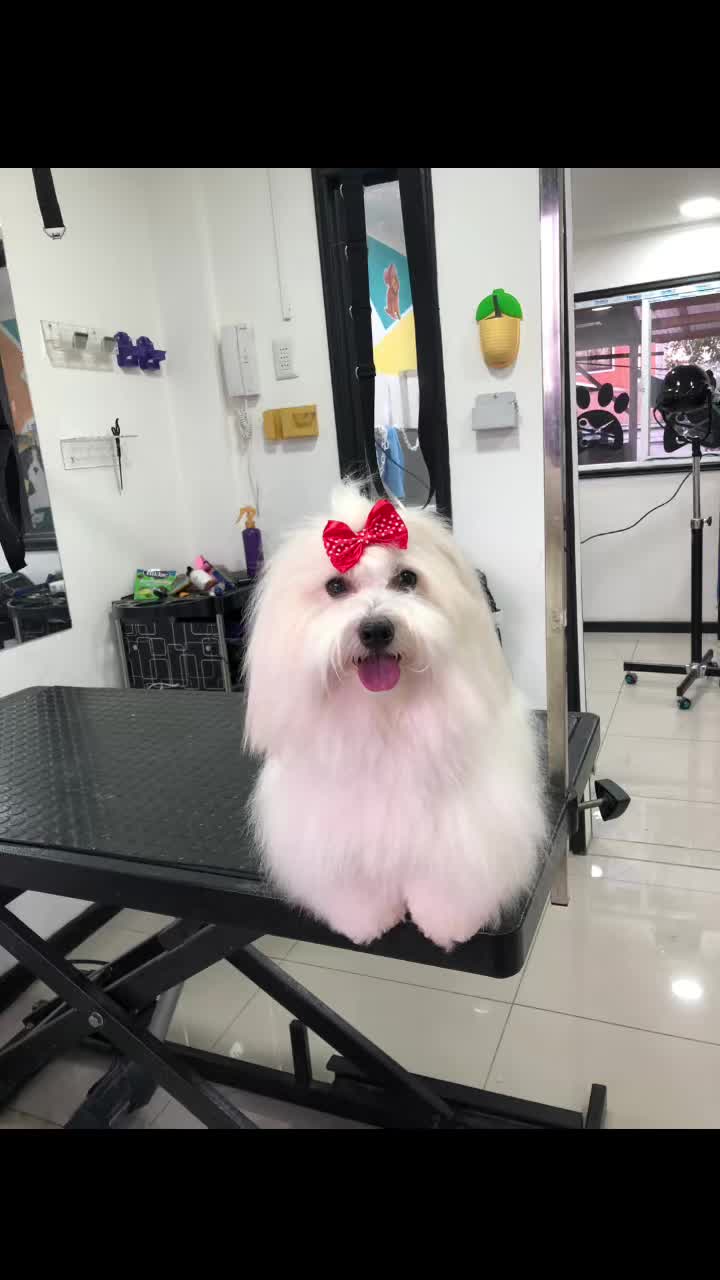 @Gran.kniche🐶