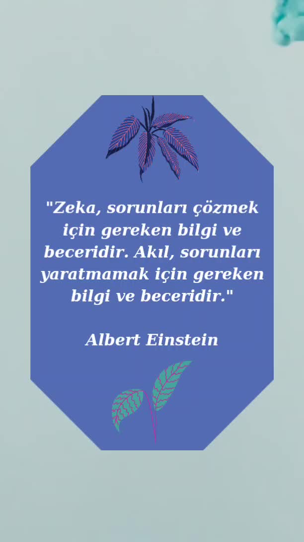 @LAZ UŞAĞI