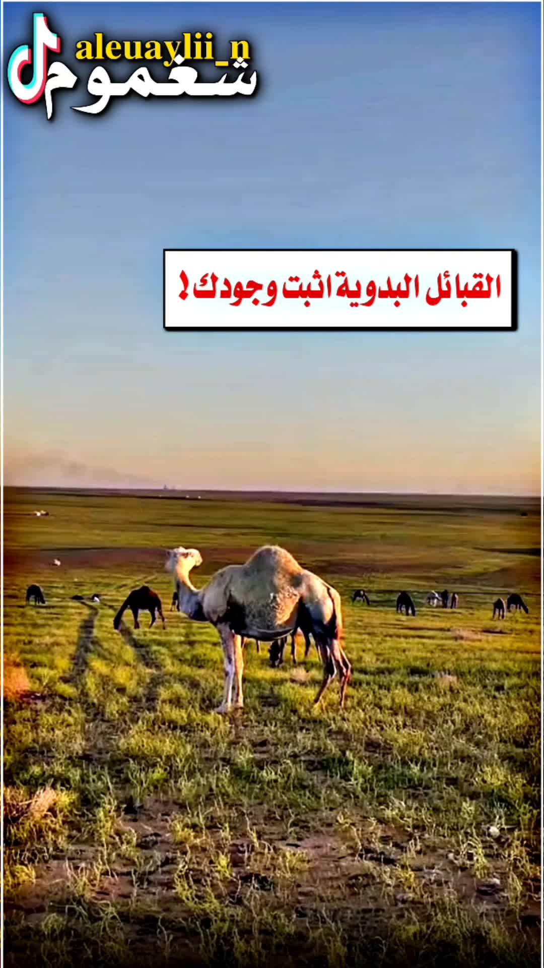@شغموم