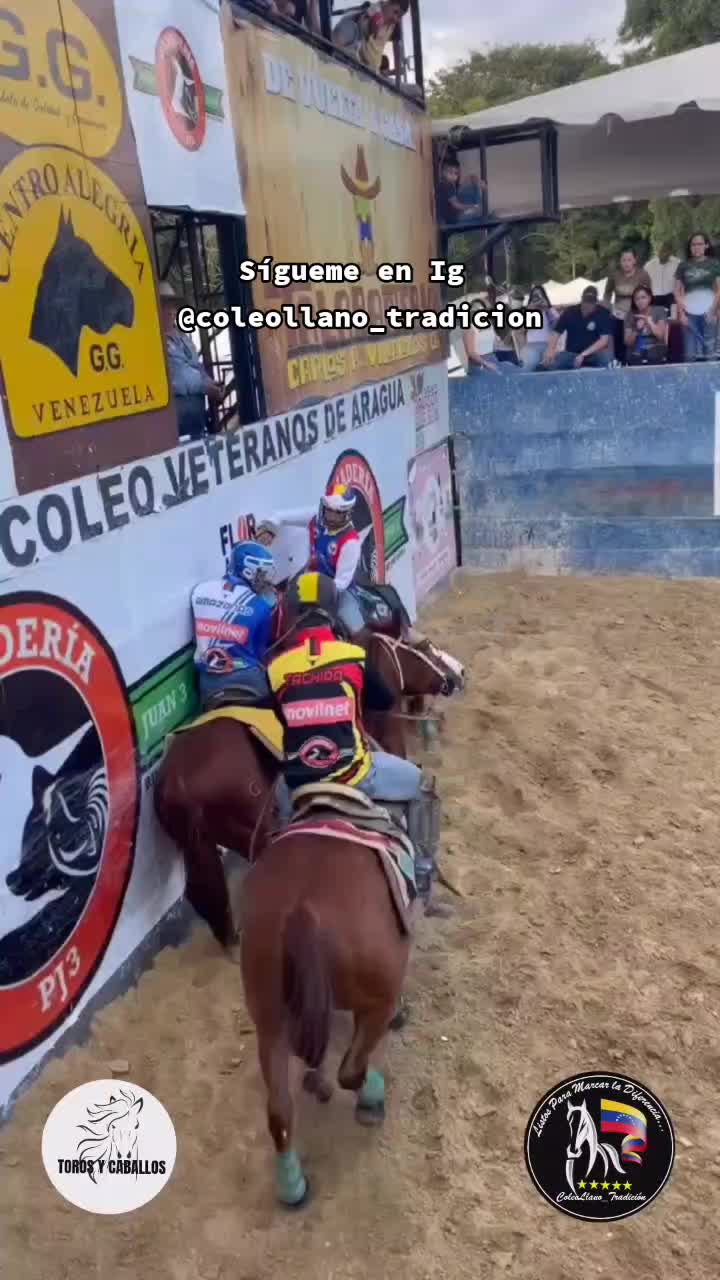 @@Coleollano_tradicion