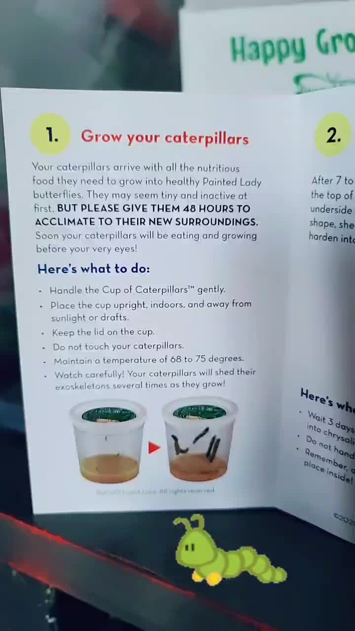 @user8119629879290