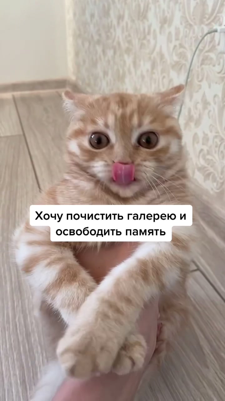 @gross_ph